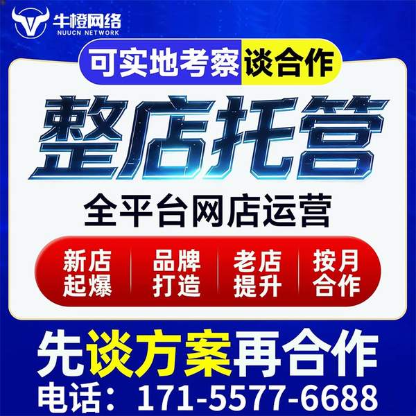 靖江电商代运营