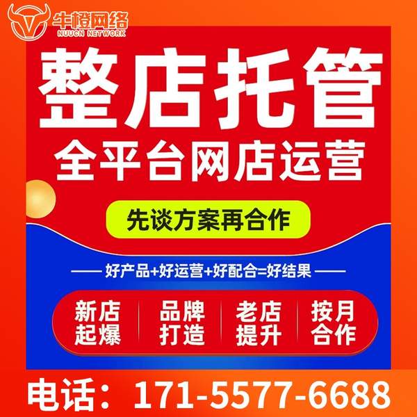 靖江电商代运营