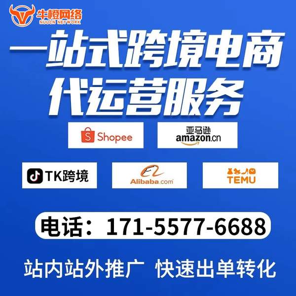 靖江电商代运营