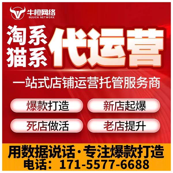 靖江电商代运营